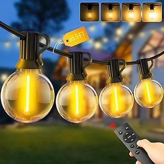 Outdoor Garden String Lights LED - 65.5Ft G40 20M Festoon Light Mains Powered with Remote Control Dimmable Timer Outside Lighting Waterproof Shatterproof Bulb Hanging for Balcony Gazebo Patio Pergola