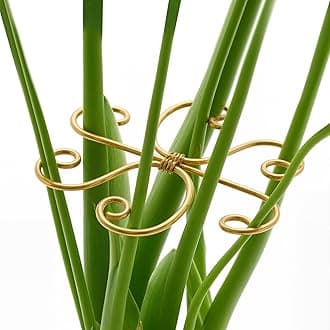 4PCS Iron Monstera Support, Uniquely Designed Plant Support Stakes for Indoor Plants, Stable Plant Stakes and Supports, Turtle Shell Bamboo Clamp Set for Thriving Growth