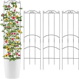 4 Pack 32'' Plant Trellis Indoor - Metal Trellis for Climbing Plants Indoor, Garden Trellis for Climbing Plants Outdoor Houseplants Flowers Vine Ivy, Rectangular Shape, Black
