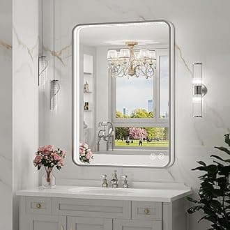 LED Bathroom Mirror with Lights,20x28 Inch Brushed Silver Framed Lighted Vanity Mirror,Anti Fog Stepless Dimmable Wall Mounted(Horizontal/Vertical)