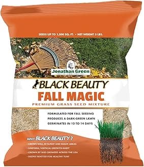 Jonathan Green (10765) Black Beauty Fall Magic Grass Seed - Cool Season Lawn Seed (3 lb)