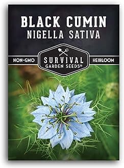Survival Garden Seeds Black Cumin Seed for Planting - 1 Packet with Instructions to Plant and Grow Beneficial Nigella Sativa Plants in Your Home Vegetable Garden - Non-GMO Heirloom
