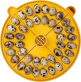 Brinsea Small Egg Quadrant Insert for Maxi Advance Incubator System, Fits 40 Pheasant or Quail-Size Eggs