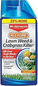 All-In-One Lawn Weed and Crabgrass Killer I, Concentrate, 40 oz