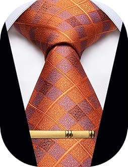 Men's Neckties Striped Tie and Plaid Neckties for Men Woven Silk Tie Gold Tie Clip Set