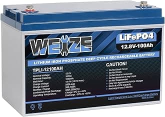 WEIZE 12V 100Ah LiFePO4 Lithium Battery