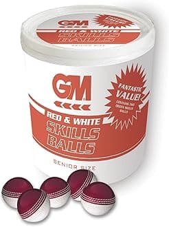 Gunn & Moore GM Cricket Training Ball, Skills Ball Bucket & 24 Skills Balls, Red/White, Size