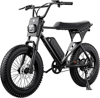 MACFOX X1S Electric Bike for Adults, 20" Fat Tire 20 MPH & 28 Miles 3 Gears 48V 10.4Ah Removable Battery, Torque 65 NM All-Terrain E Bike for Mountains, Snow, Sand, Road（US Warehouse）