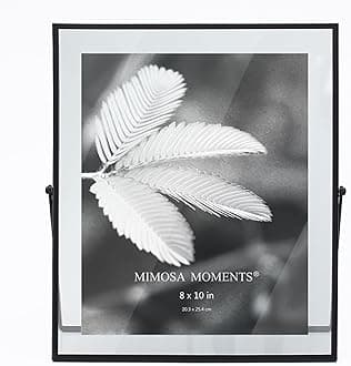 MIMOSA MOMENTS Metal Floating Picture Frame (Black, 8x10)