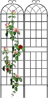 LZRS 2 Pack 83x20in Rustic Iron Arch Decoration Garden Trellis with Black Metal Coating – Perfect for Supporting Climbing Plants Outdoor, Roses, Vines, Flowers, and Vegetables.