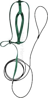 The AVIATOR Pet Bird Harness and Leash: Medium Green