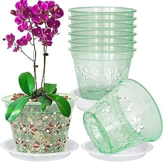 Orchid Pot, 8 Pack Orchid Pots with Holes & Saucers, Clear Plastic Pot for Repotting, Breathable Ventilation Planters for Phalaenopsis, Dendrobium & Oncidium Orchids(6 inch, Green)
