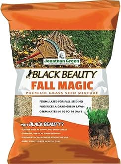 Jonathan Green (10770) Black Beauty Fall Magic Grass Seed - Cool Season Lawn Seed (25 lb)