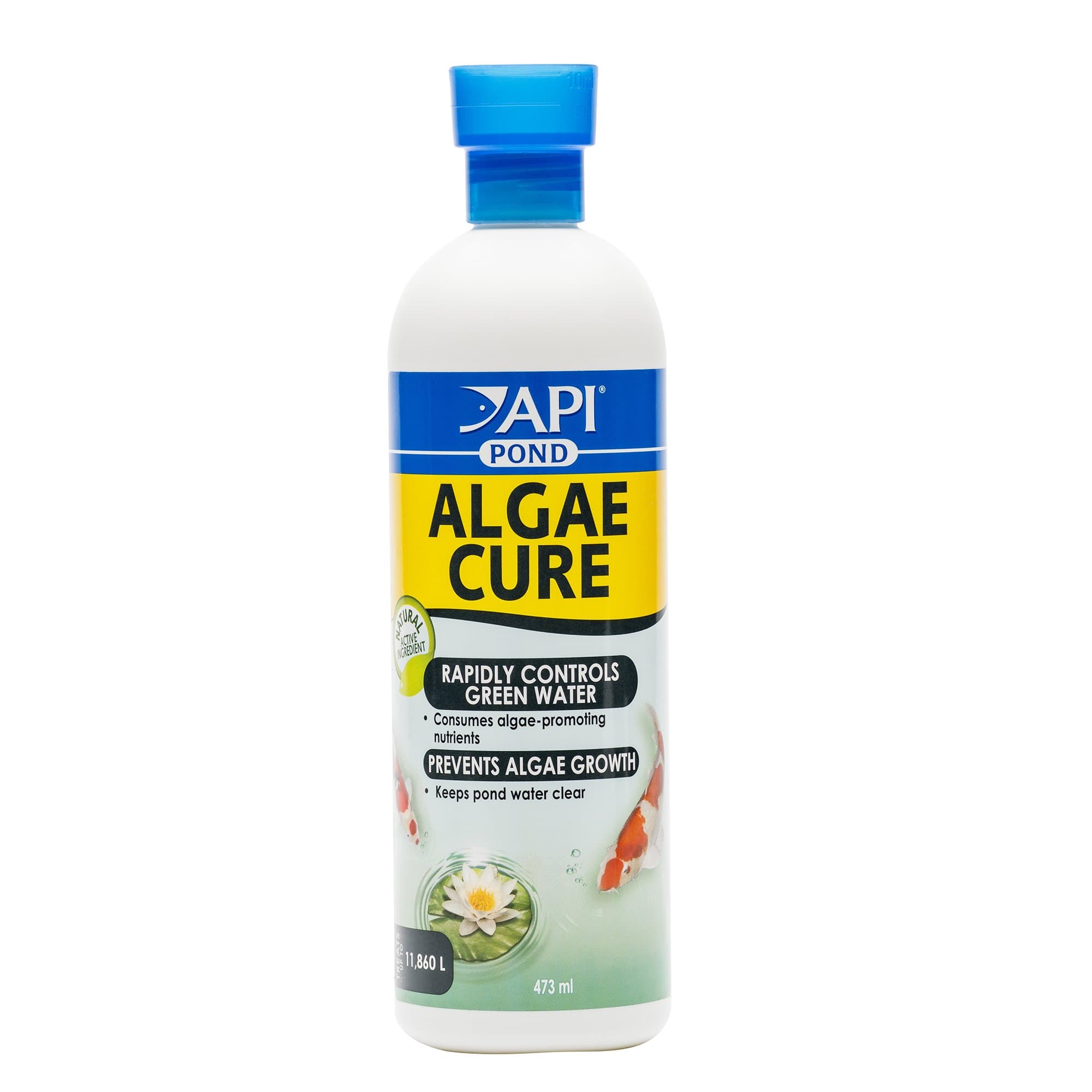 POND ALGAE CURE Control Solution, Safe For Pets When Used As Directed, 473 ml Bottle