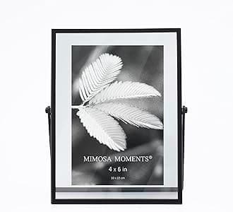MIMOSA MOMENTS Metal Floating Picture Frame (Black, 4x6)