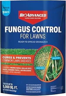 Fungus Control for Lawns
