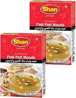 Shan Pani Puri Seasoning Mix 3.52 oz (100g) - Spice Powder for Spicy Digestive Drink - Suitable for Vegetarians - Airtight Bag in a Box (Pack of 2)