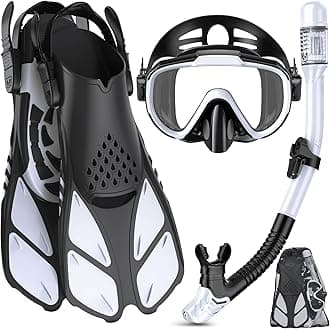 Snorkel Set Adult with Flippers, Anti-Fog Diving Set, Dry Snorkel, Adjustable Flippers, Snorkelling Packages for Men and Women