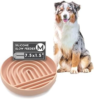 Should We Go? Slow Feeder for Dogs & Puppies, The Slowdown Bowl Silicone Slow Eating, Modern Lick Mat Design, Reduces Gulping, Fits 2 Cups, 7.5” Across x 1.5” Tall, Mealtime Challenge, Medium-Blush