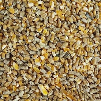 BusyBeaks Chicken Corn Extra | Premium Grade Poultry Feed | Nutritious Oyster Shell, Layers Pellets, Fibre Wheat & Split Maize | High Energy, Protein-Rich Food Mix | Perfect Year-Round Seed (5kg)