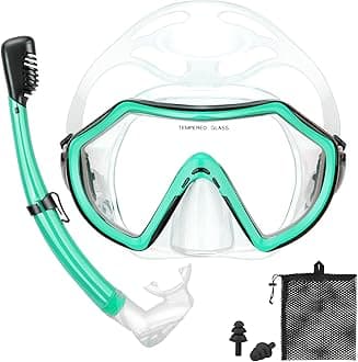 Snorkeling Gear for Adults, Dry Adult Snorkel Set HD Panoramic View Snorkel Mask Set, Anti-Leak and Anti-Fog Scuba Diving Package with Mesh Bag Ear Plug for Snorkeling Scuba Diving Travel