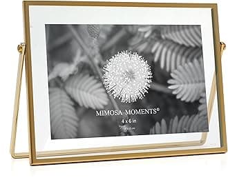 Brass Metal Floating Picture Frame (Brass, 4x6 horizontal)
