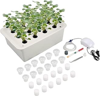 NATGAI Hydroponic System Growing Kit with Air Pump 12 Holes Soilless Cultivation Grow Box Garden Cabinet Box for Herbs, Lettuce, Vegetables