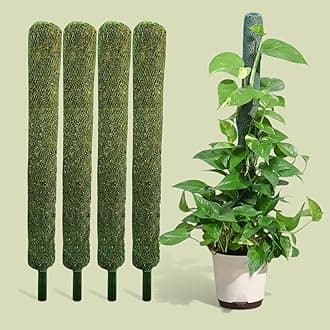 Bhajanlal Greenery Moss Stick/Coco Pole for Climbing Indoor & Outdoor Plants | Green Grass Pole for Housing Plants, Creeper Support | Moss Stick (3FT (Pack of 4))