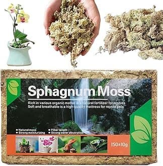 Long Fiber Sphagnum Natural Sphagnum Moss Plant Potting Mix