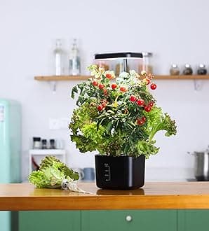 Hydroponics Growing System, Easy Vegetable and Flower Growing，4 Pods Garden Plant Germination Kit with Height Adjustable LED Grow Light, Indoor Herb Garden,Also a great gift for friends and family!