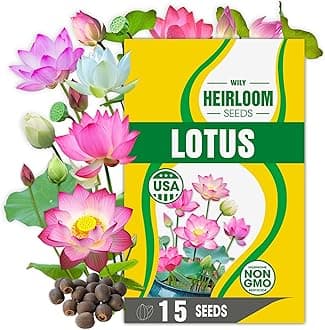 Rare Lotus Seeds for Planting – 15 Pre-Cut Bonsai Lotus Flower Seeds in Water – Non-GMO, Heirloom - Grow Stunning Lotus Flowers in Ponds & Gardens (Nelumbo Nucifera)