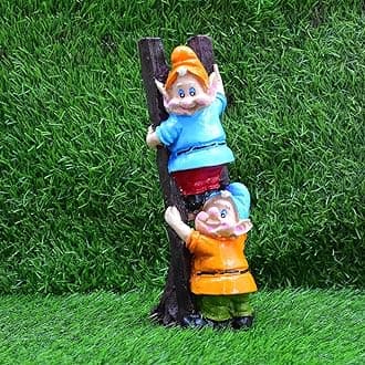 Poly-Resin Garden Decor, Home, Gift,School(Climbing Genome Pair)