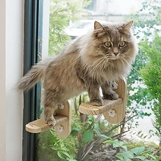 Cat Window Shelf - Original Cat Perch Stairs, Durable Seat for Indoor Cats