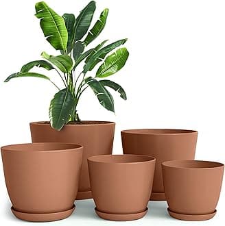 Plastic Terracotta Pots with Drainage - 7/6.6/6/5.3/4.8 Inches Flower Pots for Indoor Planter - Pack of 5 Plastic Planters, Cactus, Succulents Pot