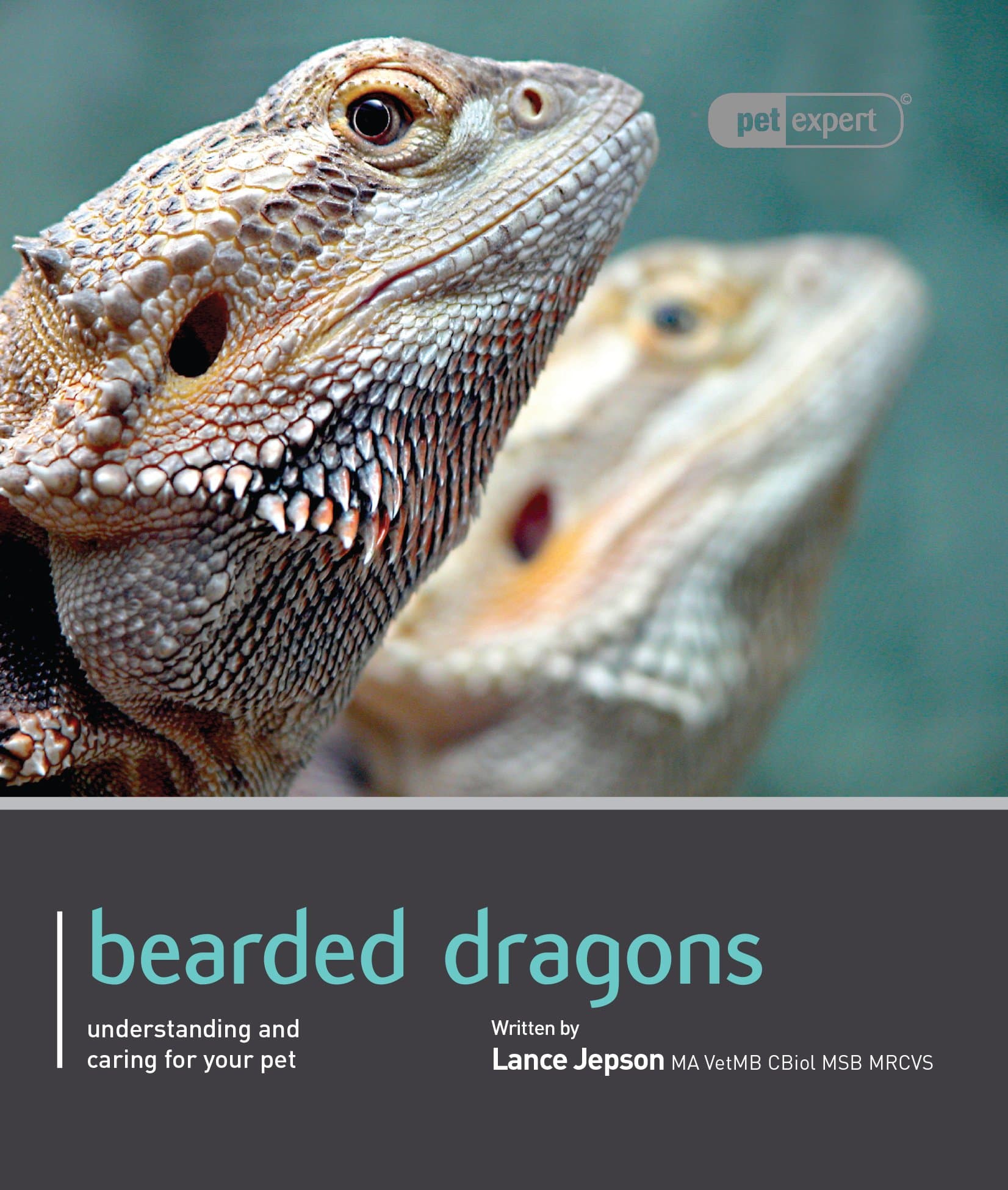 Bearded Dragon (Pet Expert) Paperback – October 1, 2012
