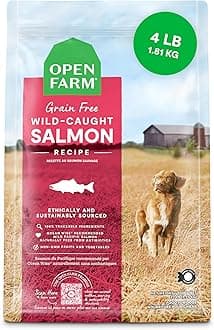Grain-Free Dry Dog Food, Complete & Balanced Kibble, Sustainably & Ethically Sourced Ingredients, Non-GMO Veggies & Superfoods to Support Overall Health, Wild-Caught Salmon Recipe, 4lb Bag