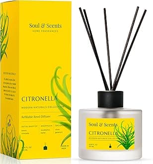 Soul & Scents Glass 120ml Citronella Reed Diffuser Set | Free 6 Fiber Reed Sticks | Stress Relief & Aromatherapy | Long-Lasting, Smoke-Free Air Freshener for Home, Bedroom & Office | Ideal for Gifting