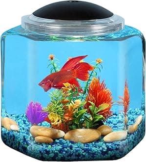 Koller Products 2-Gallon Hex Aquarium Starter Tank - LED Lighting (7 Color Selections), Impact-Resistant Plastic Fish Bowl for Betta/Nano/Goldfish, Wedding Event & Home Decor