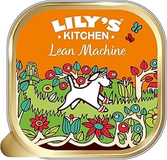 Lily's Kitchen Lean Machine Turkey & Squash - Complete Natural Adult Dog Food Wet (10 x 150g Trays)