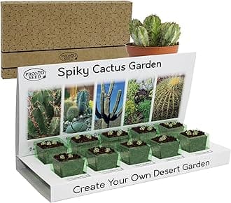 Pronto Seed Grow Your Own Cactus Kit with 5 Seeds Varieties - Indoor Growing Set with Sustainable Packaging Display - Gift for Women, Men - Beginner-Friendly (Cactus Kit)