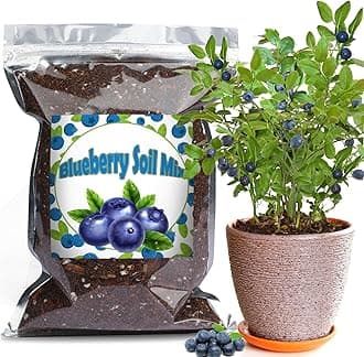 Organic Blueberry Soil Mix, Indoor Plants Potting Mix for All Potted Blueberry, Grow Healthy houseplants Indoors