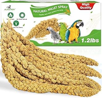 Millet for Birds 1.2LB, Natural Sun-Dried Spray Seed No Stems Only Edible Tops for Parakeet, Budgies, Finches, Cockatiels, Parrots, Lovebird, Hamster and Other Pets Treat