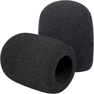 2PCS PodMic Cover Foam