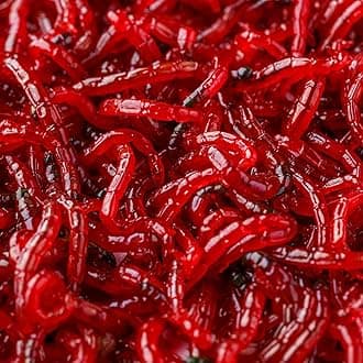 Aquacadabra Live Bloodworm Food for Tropical Fish 140ml Pack x 6 Bags of Live Fish Food