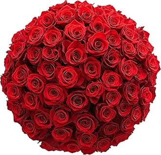 GlobalRose Real Fresh Cut Red Roses - 50 Fresh Flowers - Real Flowers Bouquet for Wedding