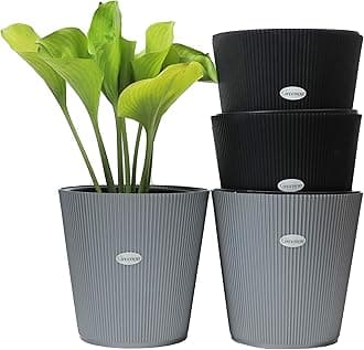 GREENON Plant Pot 10 Inch Pack of 4 (8 Pots) Self Water | Grey,Black Outer and Black Inner Plant Container | UnFadable Planter | Virgin Plastic Big Gamla | Best for Indoor and Balcony