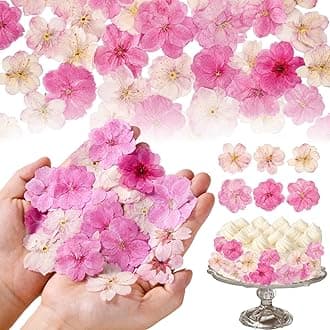 40 Pcs 2 Kinds Natural Pressed Dried Edible Flowers for Cake Topper Decoration - Pink Mix Sakura, Cherry Blossoms for Cupcake Toppers, Cocktails, Resin Jewelry, DIY Crafts