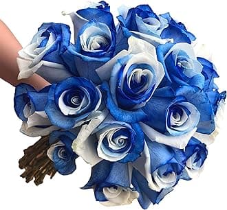 - Fresh Cut Tinted Blue and White Roses from Flower Explosion -12 Stems