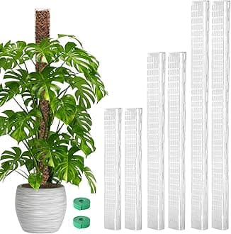EOX6 Pack 24" x2 + 36" x2 + 48" x2 Plastic Moss Pole for Monstera, Large D Shaped Poles for Climbing Plants Work with Sphagnum Moss, 210 Inch TotalGlobal Recycled StandardGlobal Recycled StandardGlobal Recycled Standard