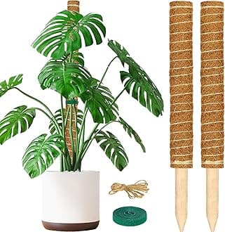ALENEY Moss Pole, 2 Pack 17 inch Monstera Plant Support Stackable Moss Poles for Plants, Coir Totem Pole Tall Moss Pole for Climbing Plants, Sphagnum, Indoor Potted Plants - Can Stacked Up to 30’’